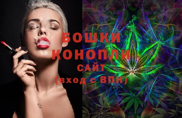 индика Богородск