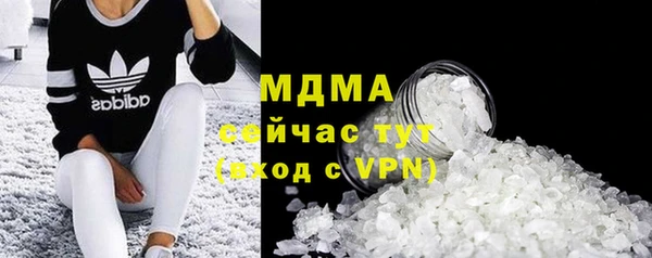 индика Богородск