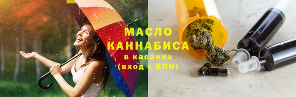 индика Богородск