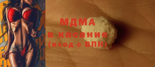 индика Богородск
