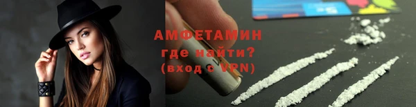 индика Богородск