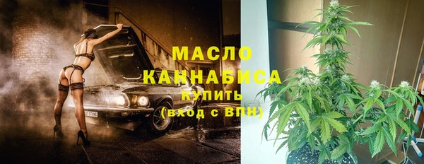 дживик Бронницы