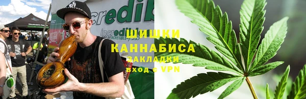 индика Богородск