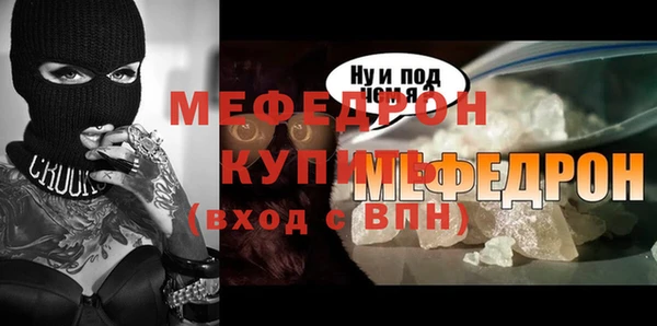 индика Богородск
