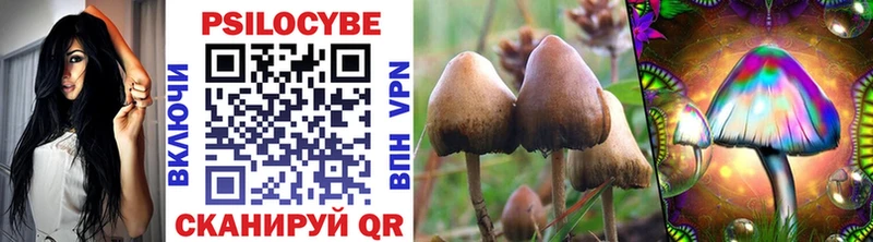 Псилоцибиновые грибы GOLDEN TEACHER  Новокузнецк 